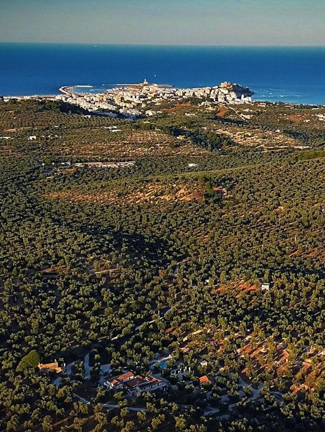 Agriturismo Passione Natura Vieste Exterior foto